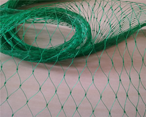 Anti Bird Net