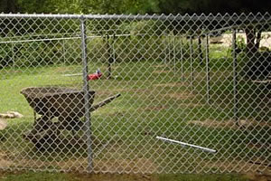 Chain Link Fence