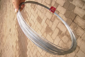 Galvanized Wire