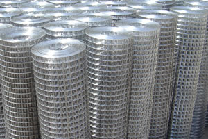 Welded Wire Mesh