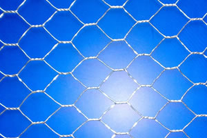 Hexagonal Wire Netting