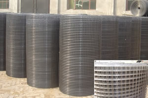 Welded Wire Mesh