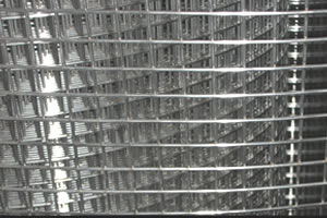 Welded Wire Mesh